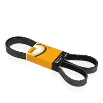 CORREIA POLY-V (DH) COROLLA/ PASSAT/ SPORTAGE/ I30/ STRADA/ SIENA/ PALIO