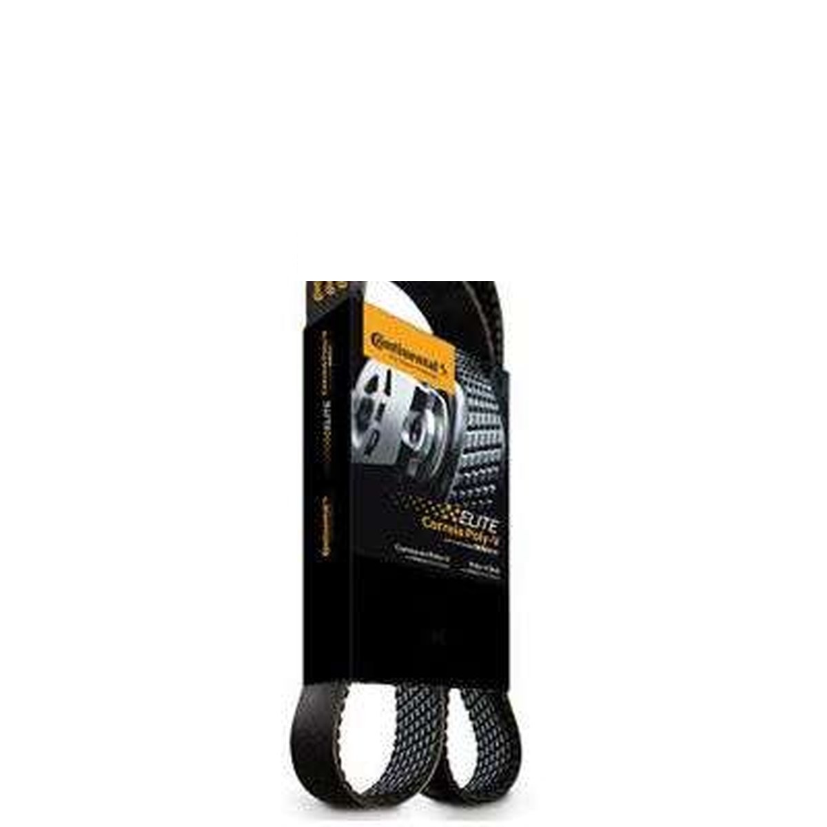 CORREIA POLY-V  (GIR./ALT./BA./D.H./ S/ACD.) TRANSIT 2.4 TDCI 09/..