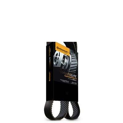 CORREIA MULTI-V (GIR/ALT/BA/DH C/ACD)