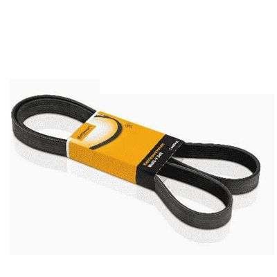 CORREIA POLY-V (GIR/ALT/BA/DH/ACD)