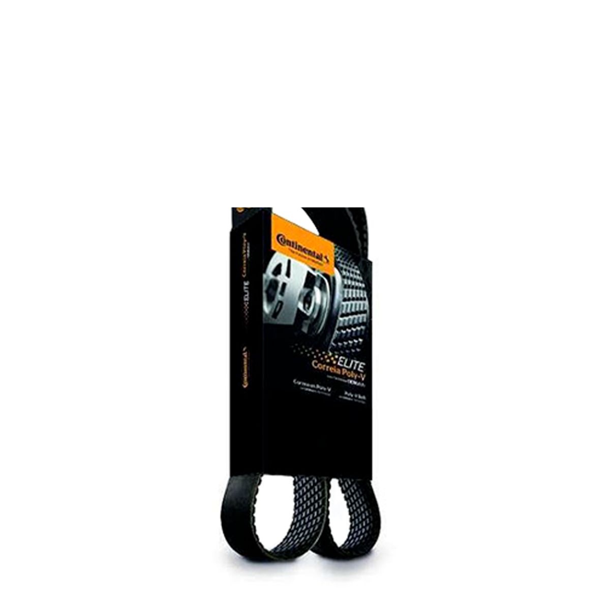 CORREIA POLY-V (GIR/ALT/BA/DH/ACD) RANGER 2.5 FLEX DURATEC 12/..